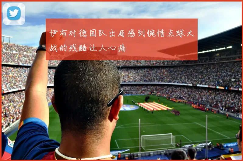 伊布对德国队出局感到惋惜点球大战的残酷让人心痛